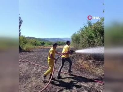 Bolu Mudurnu'da Otluk Yangını Buğday Tarlasına Sıçradı — 250 m² Zarar