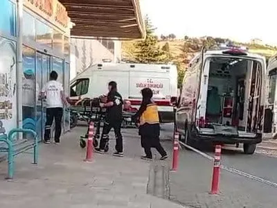 Çağlayancerit'te ceviz ağacından düşen kişi ağır yaralandı