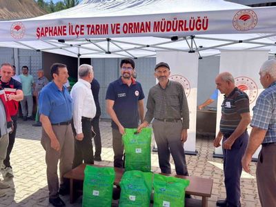 images