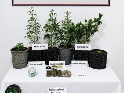 Çanakkale’de üç ilçede eş zamanlı operasyon: skunk, kenevir ve para ele geçirildi