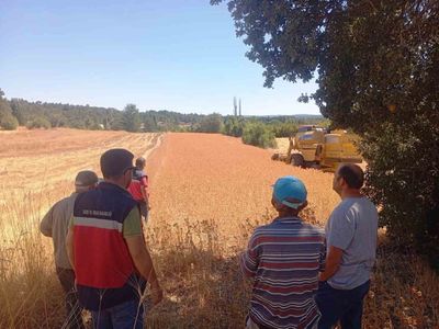 Domaniç'te aspir üretiminde yeni dönem başladı