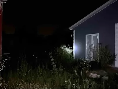 Gece tedirginliği: fenerlerle tarlalarda iz sürüyorlar