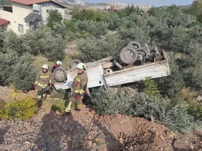 Zeytinliğe düşen kamyonetin sürücüsü hastaneye kaldırıldı