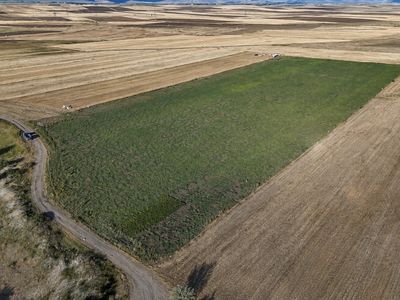 Ağrı'da tarladan sofraya: kavun ve karpuz hasadı başladı