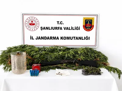 Akçakale'de jandarmadan narkotik baskını: esrar, kenevir ve ruhsatsız silah ele geçirildi