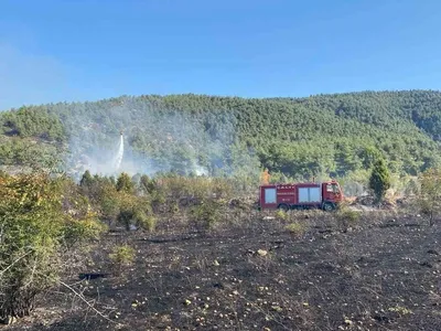 Samrı'daki tarla yangını ormanlık alan korunarak söndürüldü