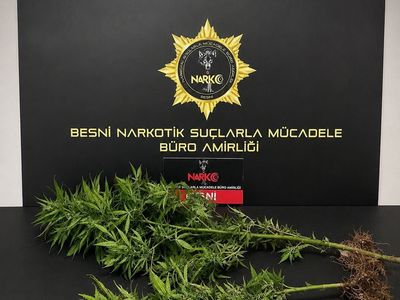 Adıyaman'da kapsamlı denetim: 53 aranan şahıs yakalandı, 11 kişi tutuklandı