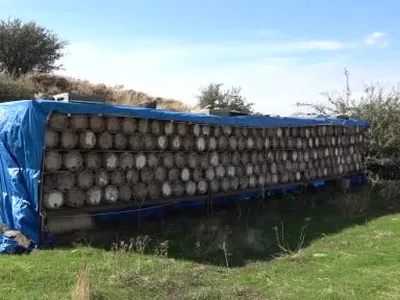 Bitlis'ten ödüllü tat: 2 bin 500 rakımda karakovan balı hasadı