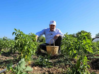 Üretimden sofraya Düzce Tarım Akademisi ata tohumlarının ilk mahsulünü ihtiyaç sahiplerine ulaştırdı
