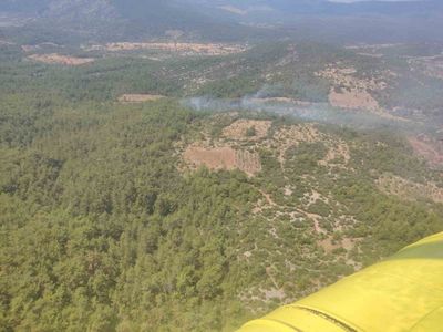 Menteşe'de alevler havadan ve karadan müdahaleyle durduruldu