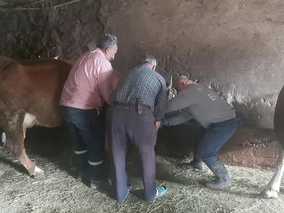 İlçe tarım ekipleri işletmedeki küpe ve yavru atık bildirimini yerinde inceledi