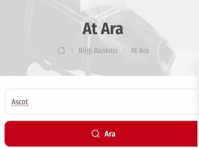 Kuriş ailesinin mal varlıkları lüks unsurlarla dikkat çekiyor