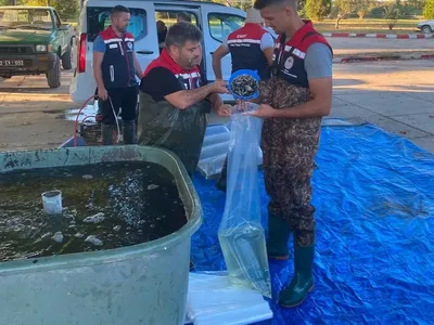İpsala'dan göllere 2 milyon 324 bin 500 yavru sazan takviyesi