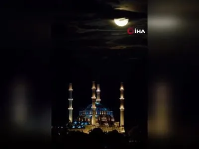 images