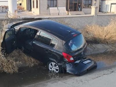 Köpeği görünce manevra yapan sürücünün otomobili şarampole düştü