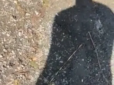 Tatilde şaka oyunu göl kıyısında kovalamacaya dönüştü