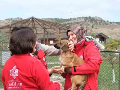 Vakfın merhamet mirası sahipsiz dostlara uzandı