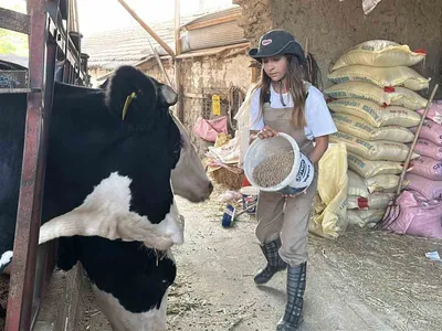 Babasının yükünü sırtladı, Emine Kaya tarlada ve üniversitede üretmeyi sürdürdü