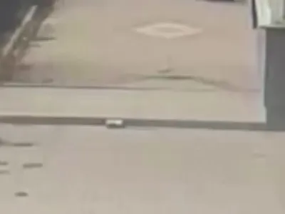 Bandırma'da güvenlik kamerasına yansıyan kediye kötü muamele soruşturması