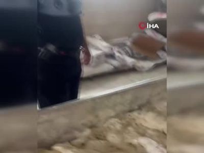 Fırında hijyen ihmali açığa çıktı: hamam böceği, izmarit ve ağlar tespit edildi