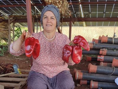 Beyağaç'ta ata tohumları nesilden nesile aktarılıyor