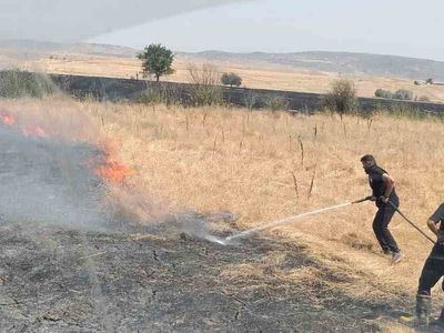 Bingöl kırsalında söndürülen yangın 2 bin dönümü etkiledi