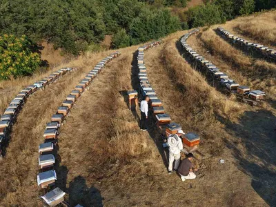 Elazığ'da yağış bereketi bal üretimine yüzde 20 yansıdı
