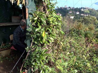 Çayeli’de unutulmaya yüz tutan kültür bilimsel atlasla yaşatılacak