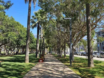Kavurucu sıcaklarda İskenderun sahilinde insanlar ve kuşlar gölgeliklere sığındı