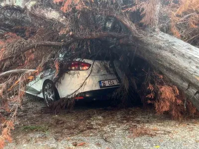 Mudanya'da yağış sonrası ağaç otomobilin üzerine devrildi, sakinler hizmet eksikliğini dile getirdi