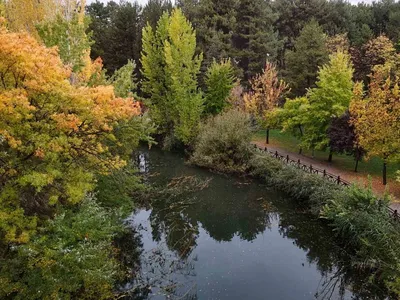 Eskişehir'de sonbahar yağmurları kentte renk ve su getirisi sağladı