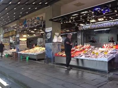 Palamutta canlanma umutları yükseliyor: 'o sene bu sene olacak'