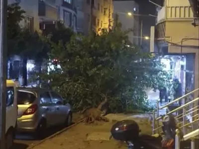 Siirt'te hız kesmeyen rüzgâr mahallede ağaçları yerinden söktü