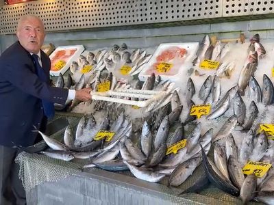 Balığın bereketi tezgahlara yansıdı: hamsi 200 liradan başlıyor