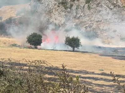 Tokat'ta Soğucak Bağları mevkisinde otluk yangını büyümeden söndürüldü