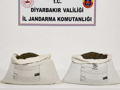 Diyarbakır'da jandarma operasyonunda 187 bin 391 kök kenevir ve çok miktarda uyuşturucu ele geçirildi