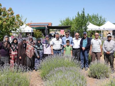 Kıraç araziden lavanta markasına: Lavantistan 11. hasadında buluştu