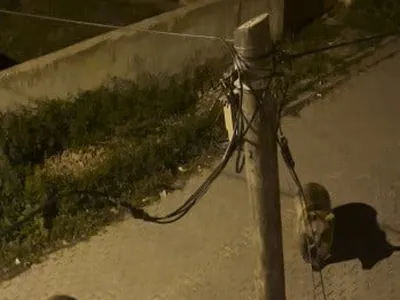 Mahalle arasında gözcülük yapan ayı ile ağır adımlarla gelen arkadaşı görüntülendi