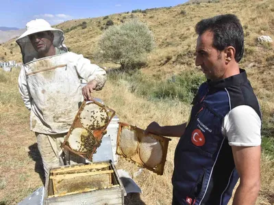 Bitlis'te yağışlar umut verdi: bal rekoltesinde artış bekleniyor