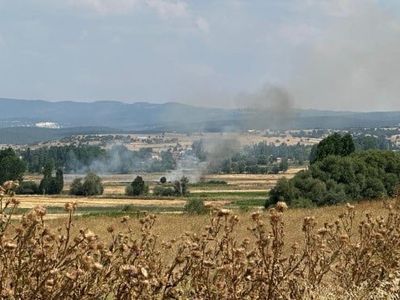 Tavşanlı'da tarım arazisinde çıkan yangın yaklaşık 10 dönümü tahrip etti