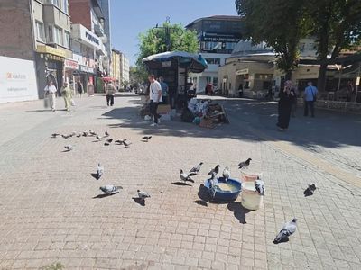 Sevgi Yolu'nda 47 yıl sonra yerini terk eden esnafın önceliği kuşlar