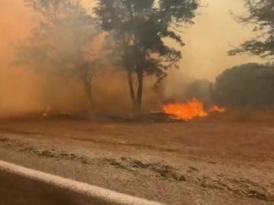 Balıkesir Yangını Bergama Sınırına Ulaştı: Gazeteciler Alevlerden Zor Kurtuldu