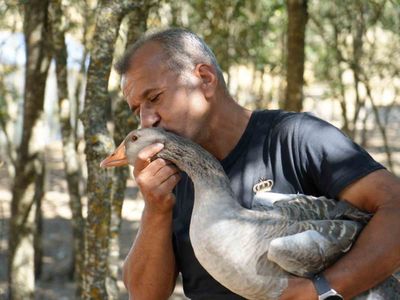 Pandemide köye dönüp kaz çiftliğini büyüttü, üretimi Kars dahil talep görüyor