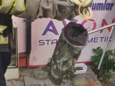 Tekirdağ'da kedinin dikkatiyle doğalgaz kutusundaki yılan kurtarıldı