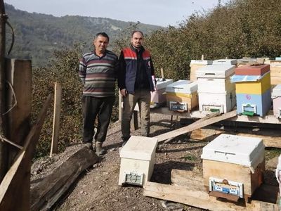 Köy köy kayıt: Yığılca'da arılı kovan envanteri tamamlandı