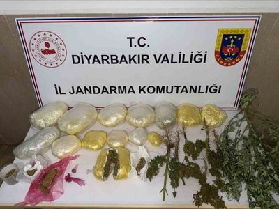 Diyarbakır kırsalında jandarmadan uyuşturucuya darbe: 59 bin 221 kök kenevir ele geçirildi
