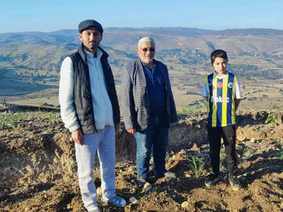images