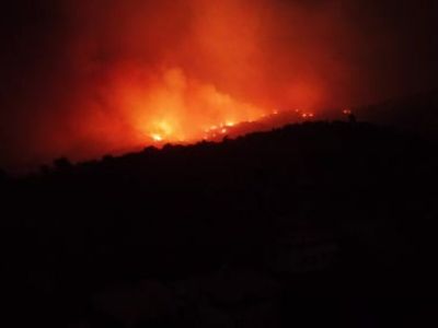 Geceleri alevler gözleri doldurdu: Çine'de orman yangını mahalleye ulaştı