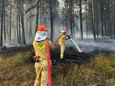 Taşköprü'de helikopter destekli müdahale yangının şiddetini azalttı