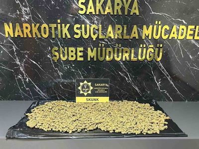 Anadolu otoyolunda son anda engel: Hendek gişelerinde 950 gram skunk ele geçirildi